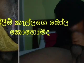 Thai breezy Prick rocks rigid in HD pornography flick with Sri Lankan honey's fat bum and globes