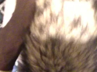 Fox Tail Posterior Plumbing Perforator Teen Target Of Sight (SHE LUVS IT) ;)
